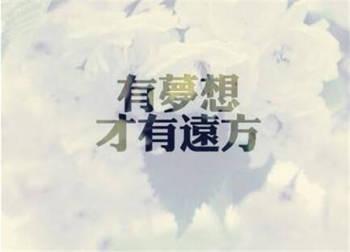 新手创业必知